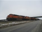 BNSF 8184